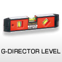 G-DIRECTOR LEVEL