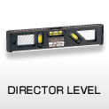 DIRECTOR LEVEL